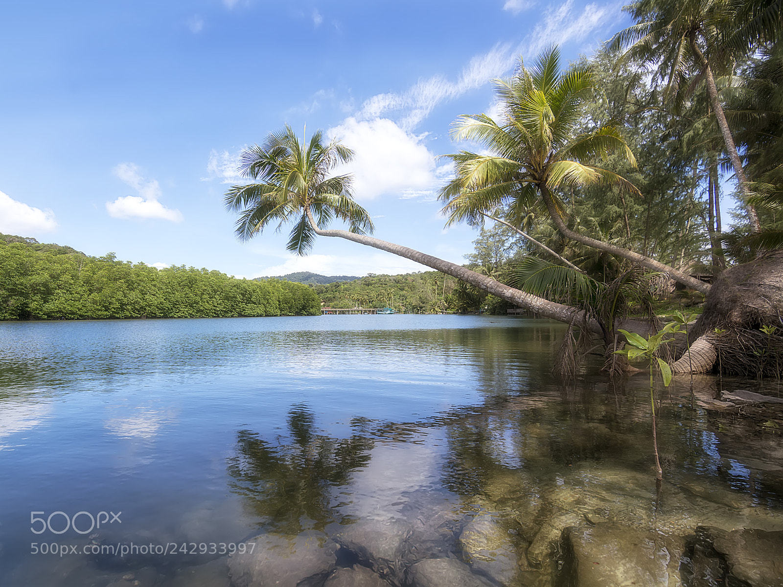 Nikon D7100 sample photo. Paradise photography