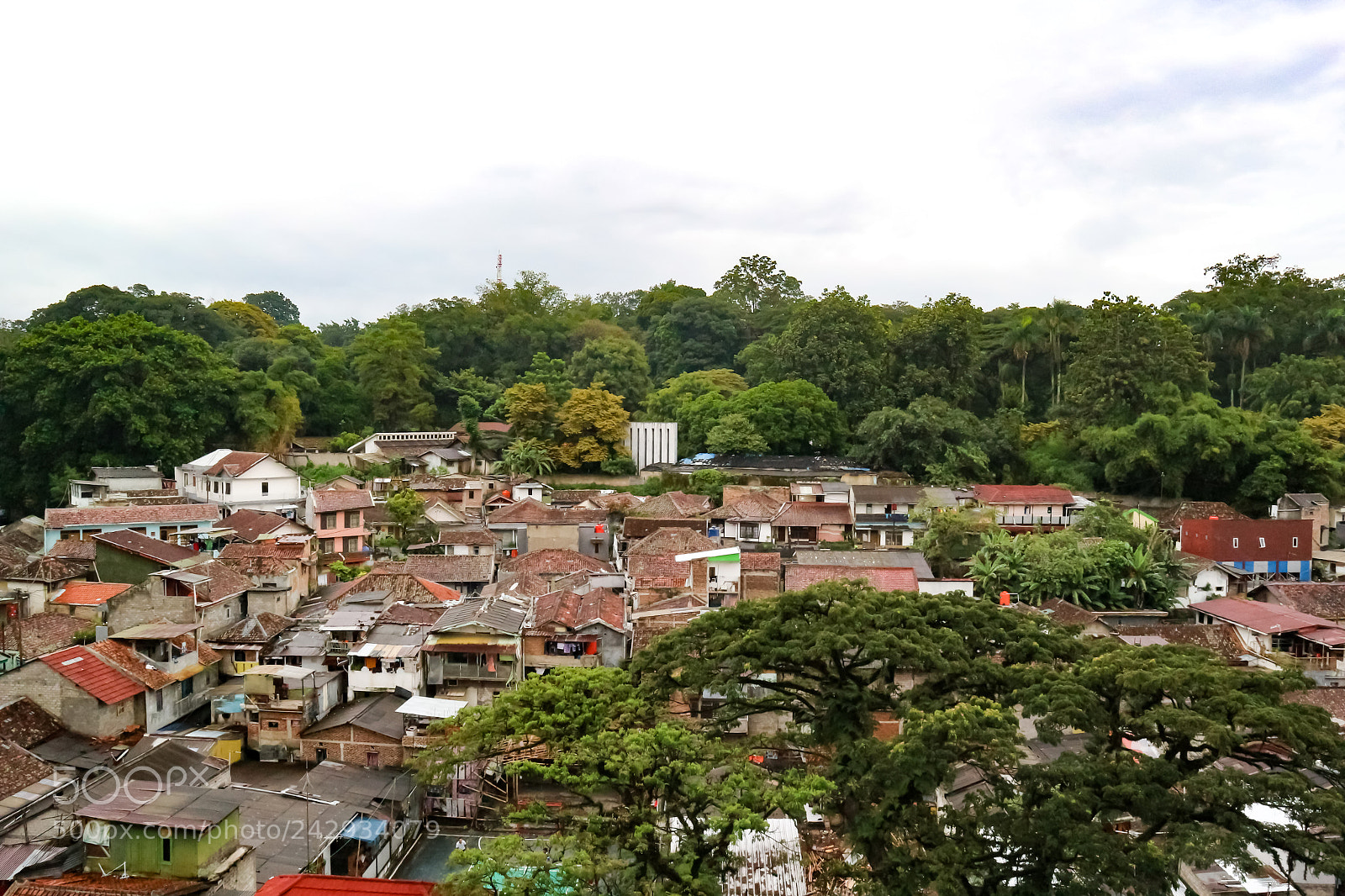 Canon EOS M10 sample photo. Untitled photography