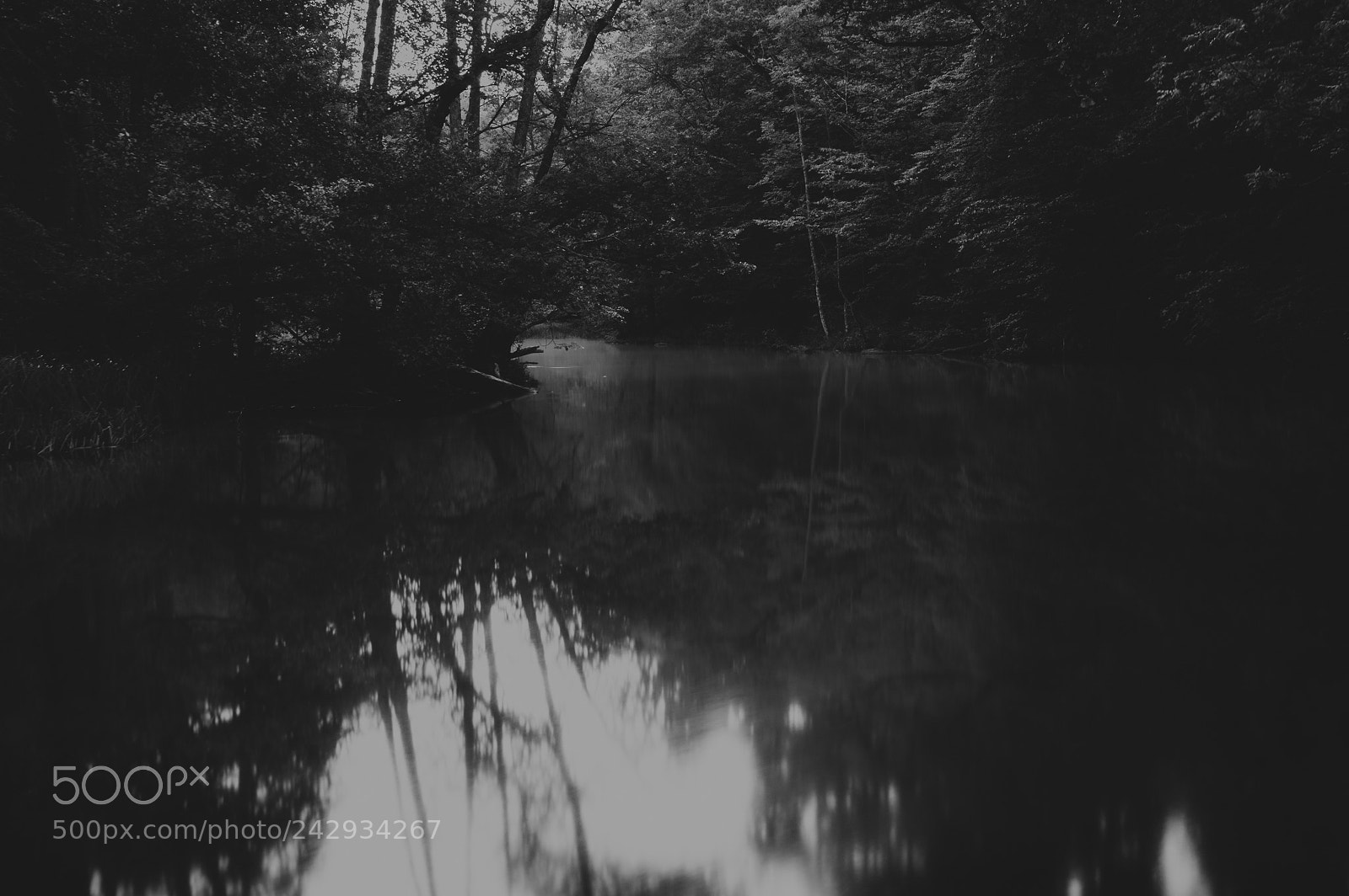 Pentax K-3 sample photo. The future is dark photography