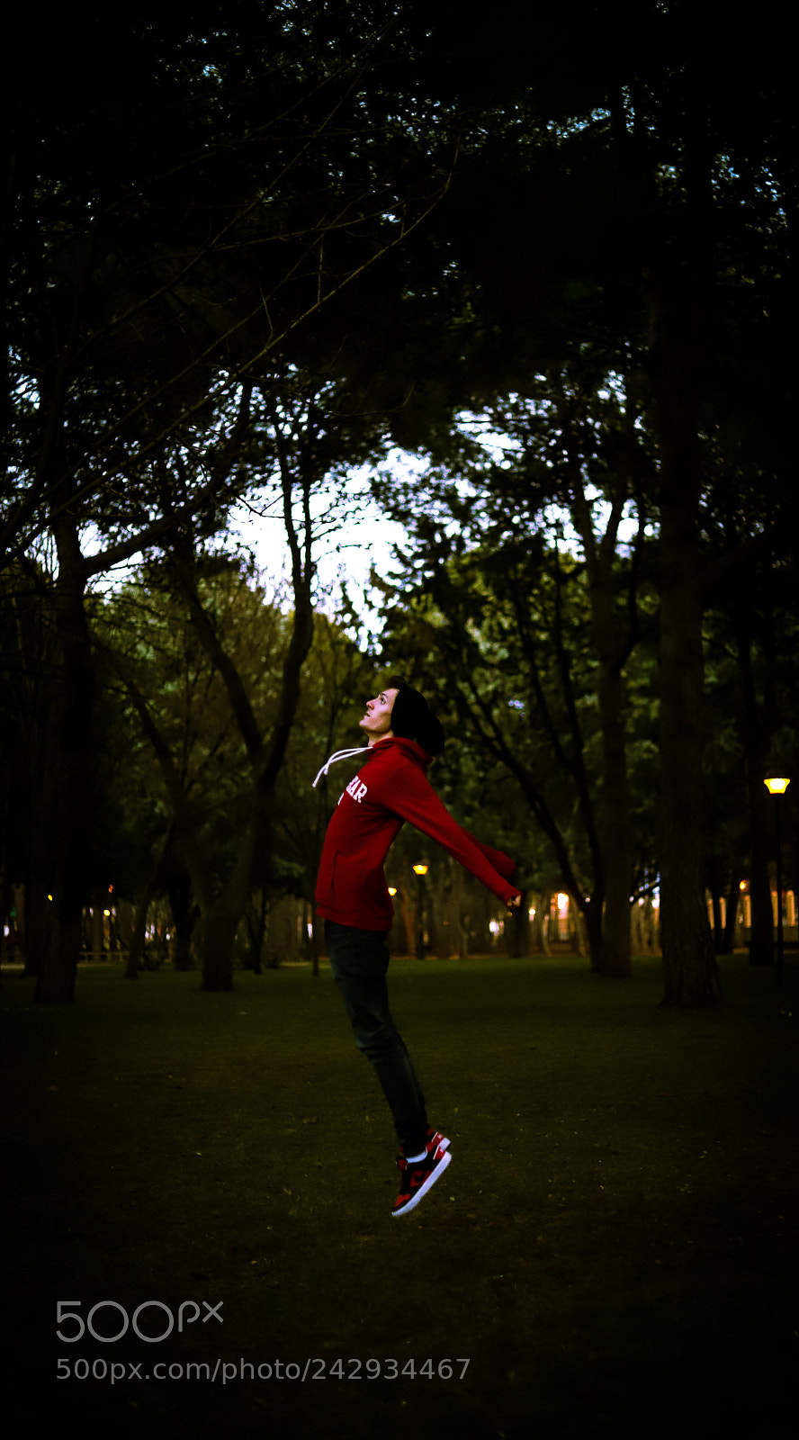 Canon EOS 6D Mark II sample photo. Dej de sentir el photography