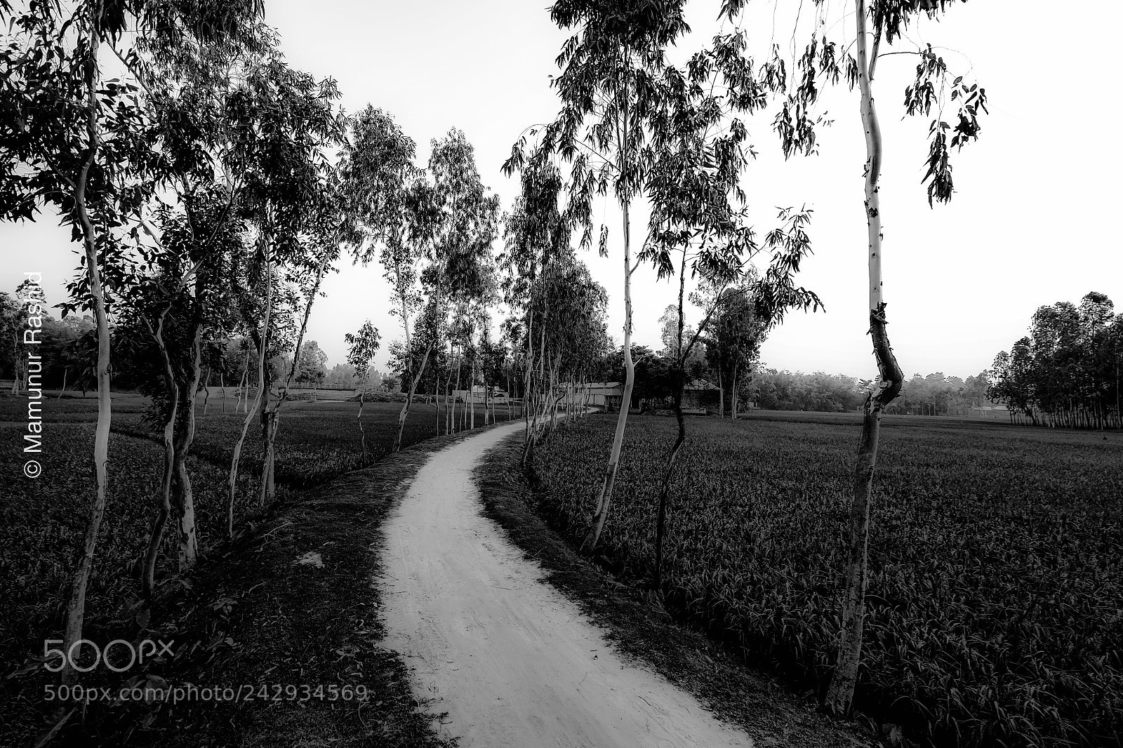 Fujifilm X-T1 sample photo. Untitled photography