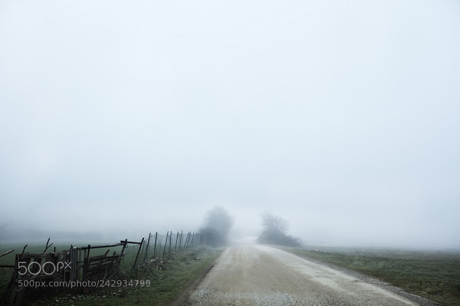 Canon EOS 5DS sample photo. Road trip photography