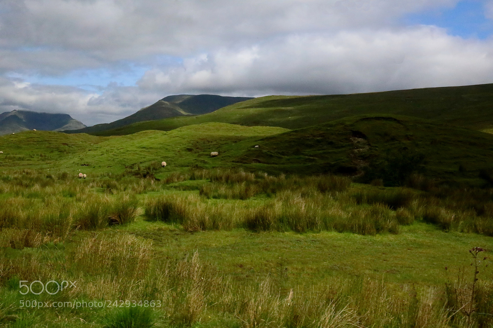 Canon EF 24-70mm F4L IS USM sample photo. Bucolic landscape photography