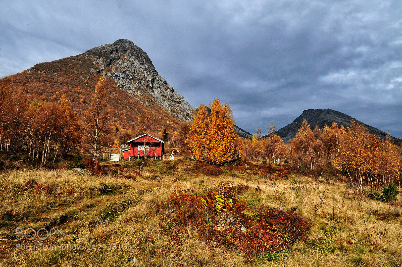 Nikon D300 sample photo. Autumn photography