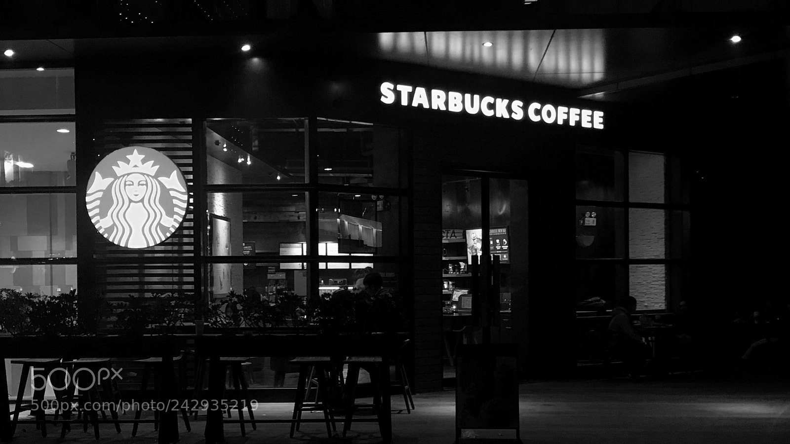 Apple iPhone 7 Plus sample photo. Untitled photography