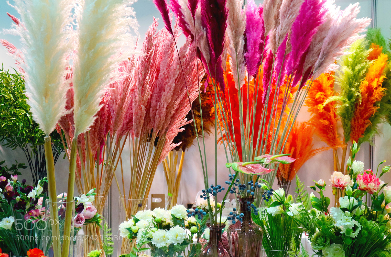 Canon EOS M3 sample photo. Flower party photography