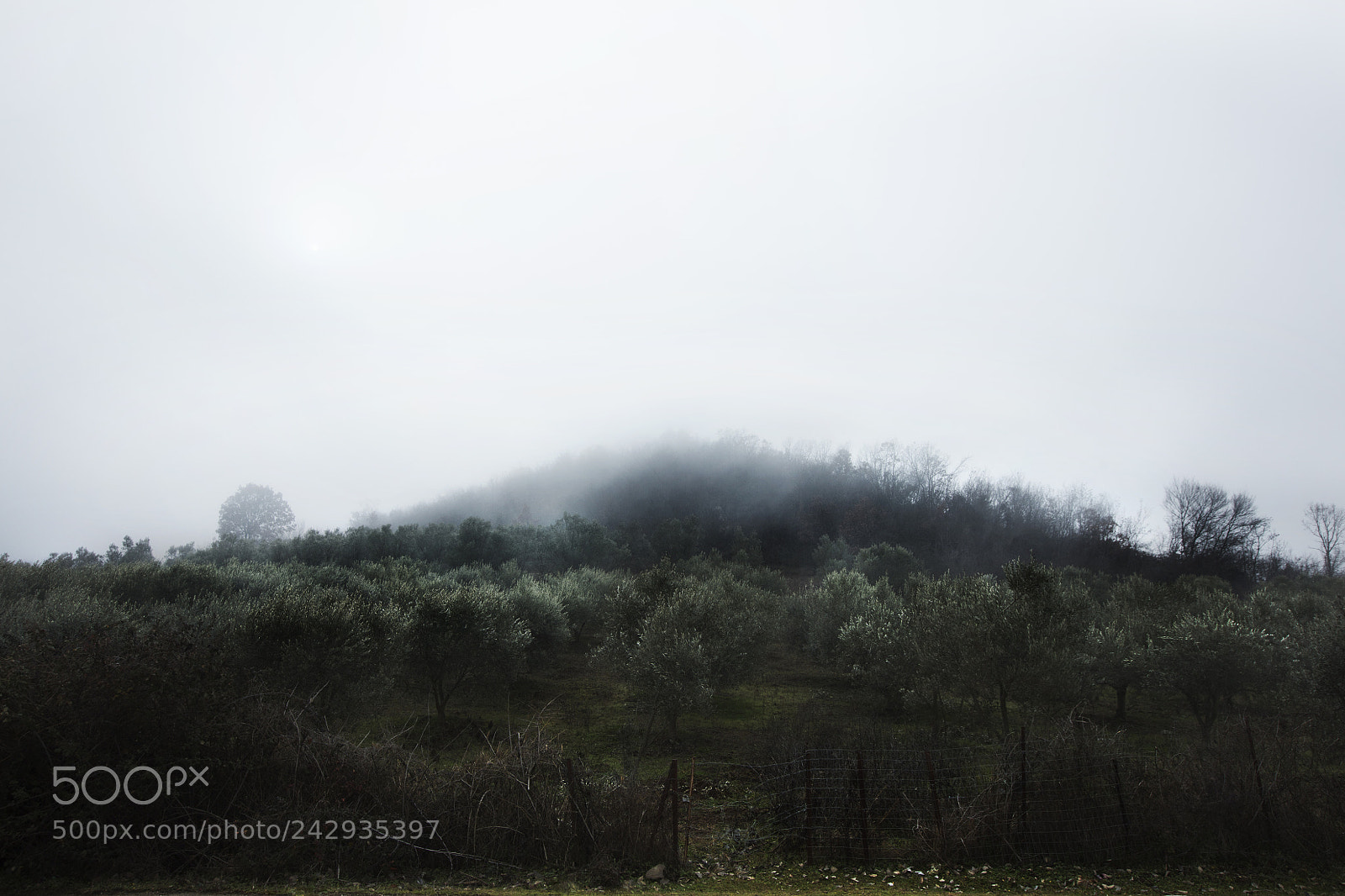 Canon EOS 5DS sample photo. Road trip 2 photography
