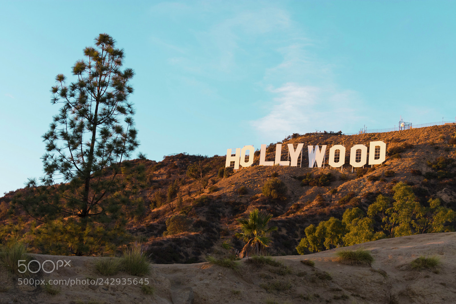 Nikon D3400 sample photo. Hollywood sign photography