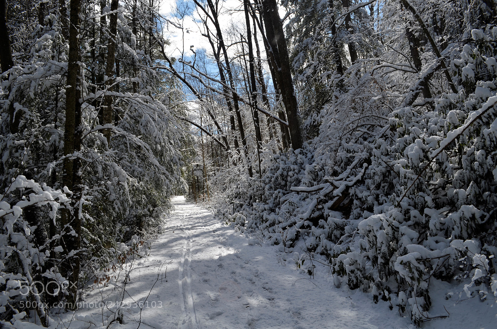 Nikon D5100 sample photo. Tracks photography