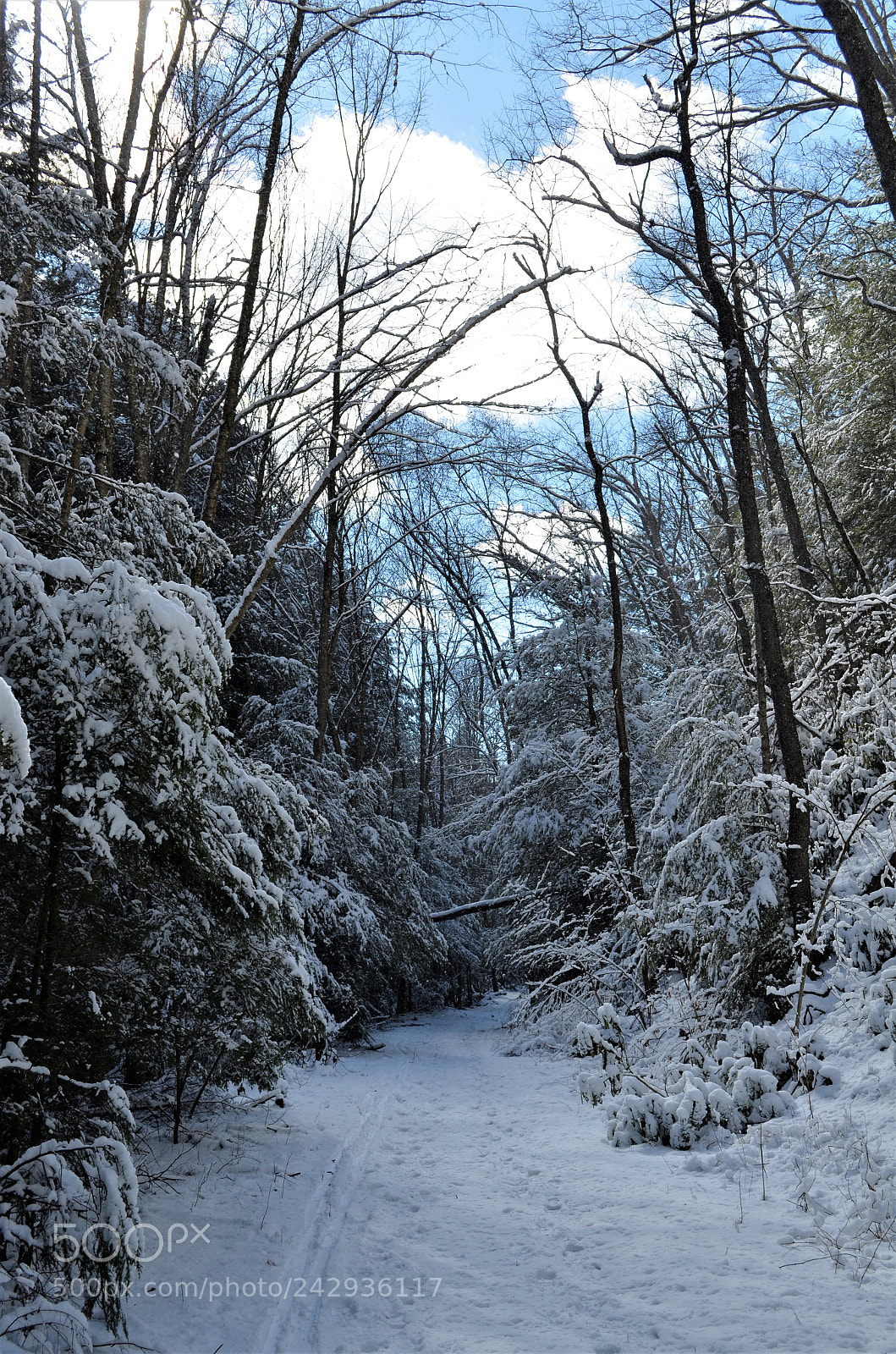 Nikon D5100 sample photo. Beyond the wall photography