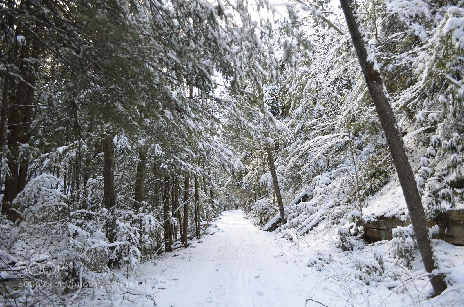 Nikon D5100 sample photo. Whiteout photography