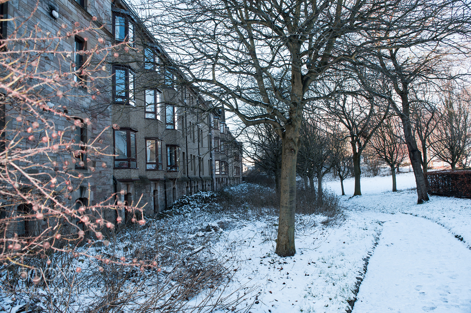 Nikon D5500 sample photo. Park near newington photography