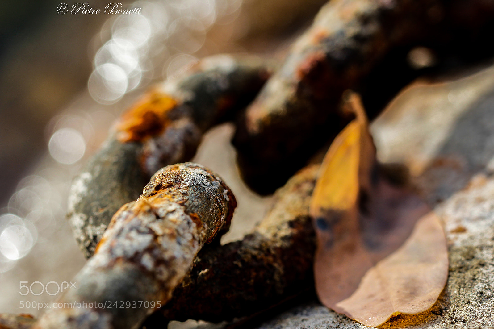 Canon EOS 60D sample photo. Insieme per sempre photography