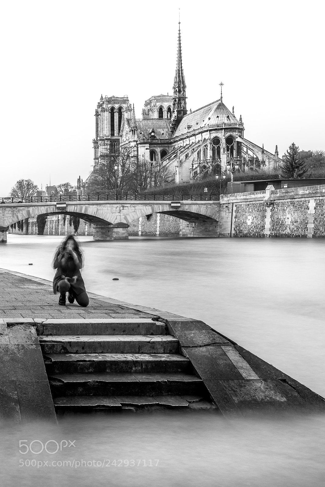 Nikon D500 sample photo. Notre dame de paris photography