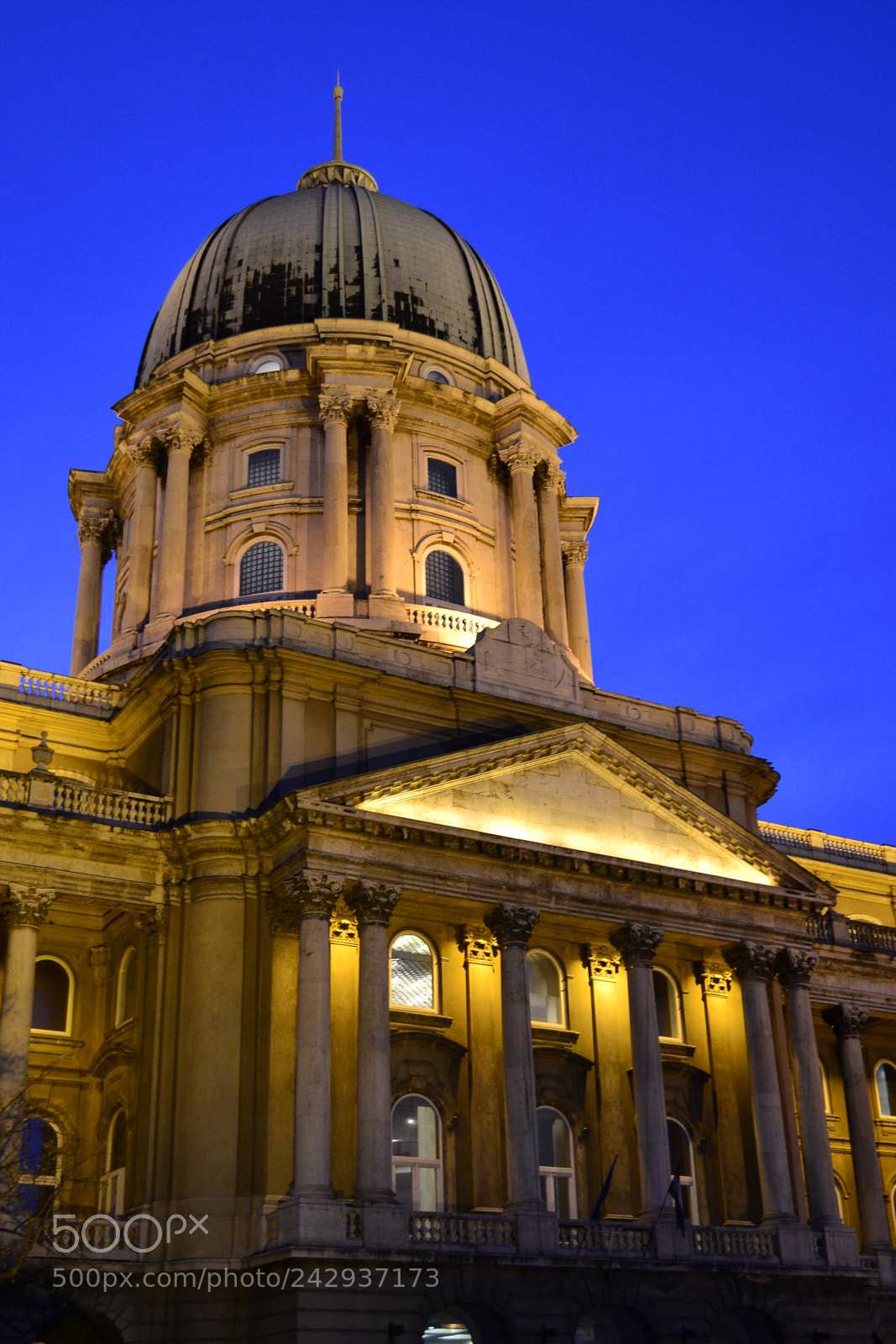 Nikon D3100 sample photo. ~ buda castle ~ photography