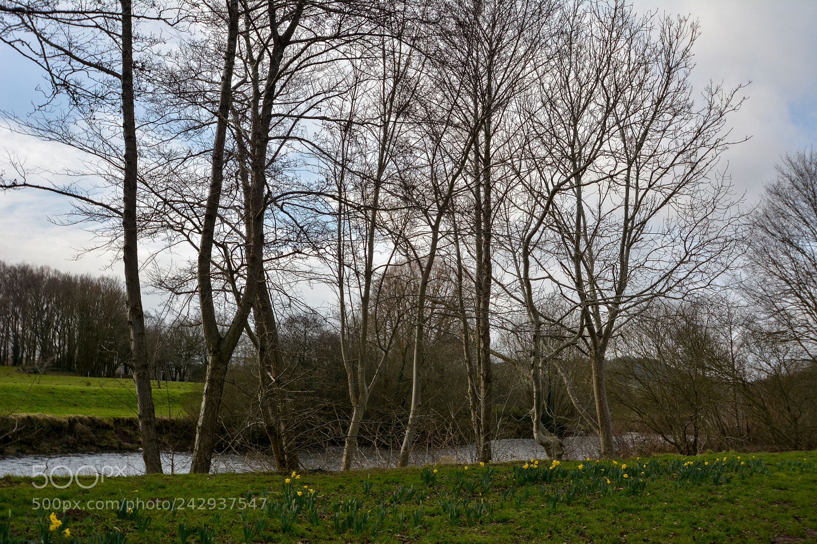 Nikon D7100 sample photo. River usk, brecon the photography