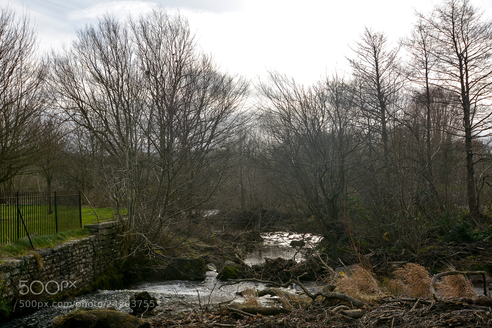 Nikon D7100 sample photo. River usk, brecon the photography