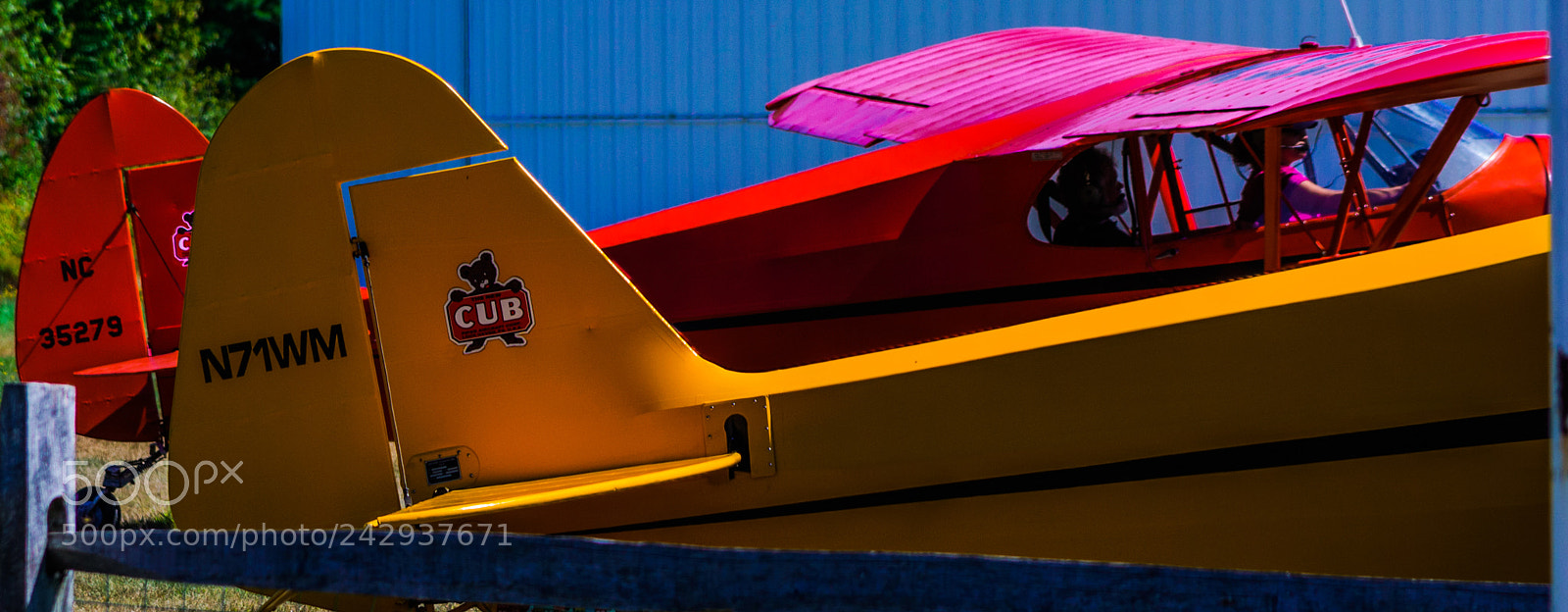 Nikon D90 sample photo. Red cub yellow cub photography