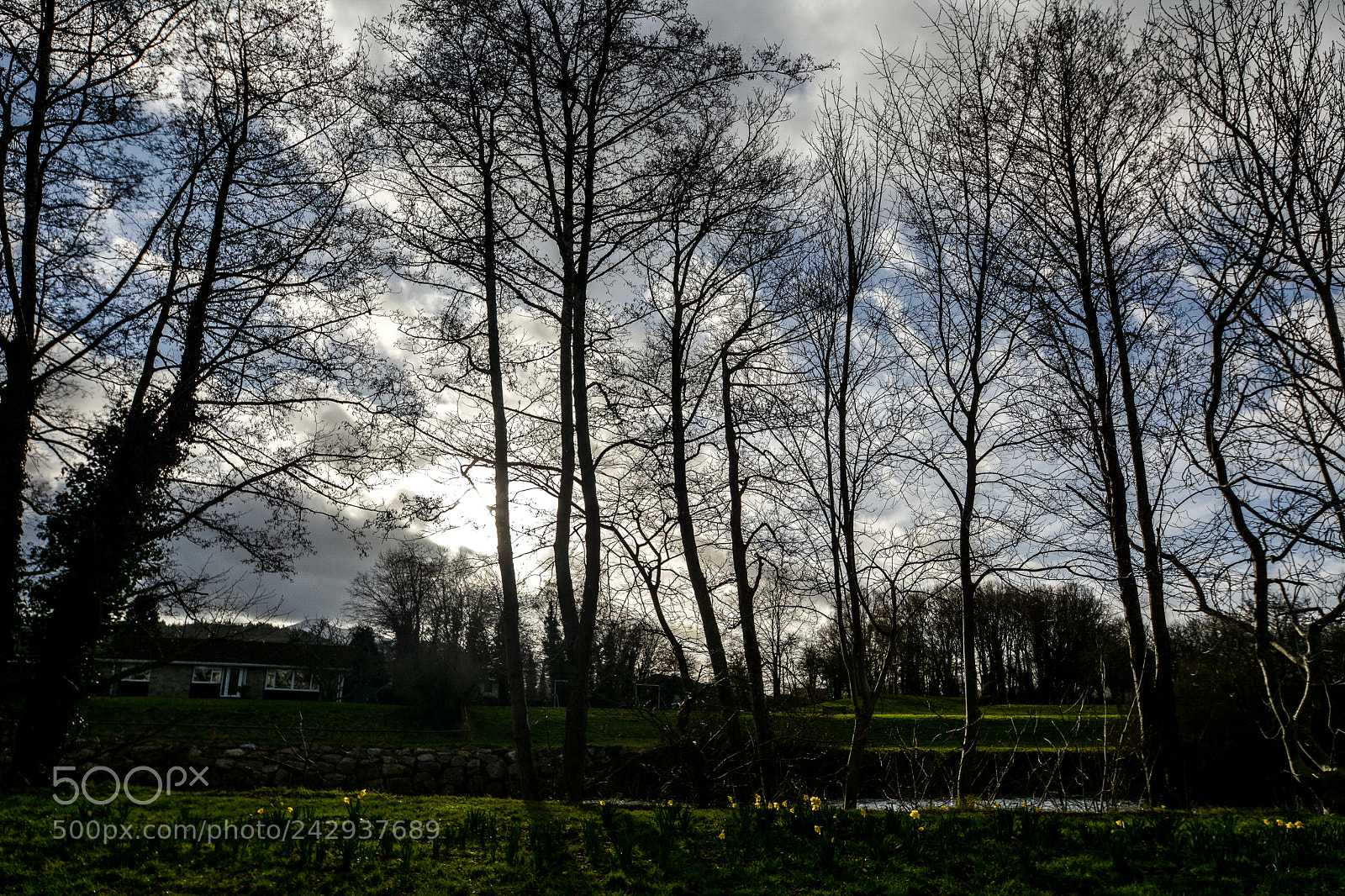 Nikon D7100 sample photo. River usk, brecon the photography