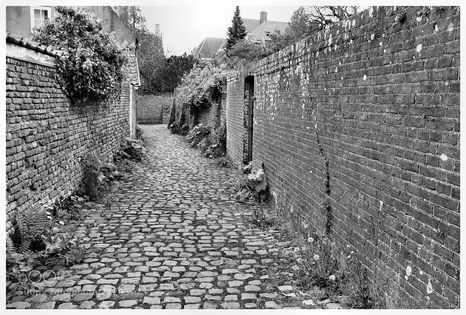 Canon EOS 1100D (EOS Rebel T3 / EOS Kiss X50) sample photo. Veere old town photography