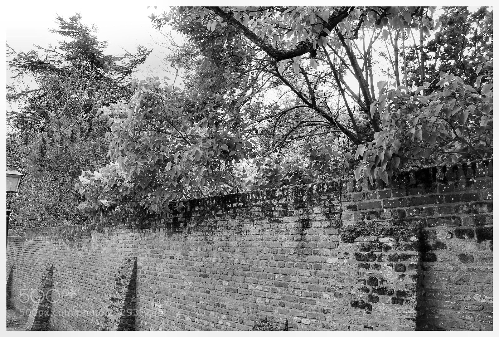 Canon EOS 1100D (EOS Rebel T3 / EOS Kiss X50) sample photo. Veere old town photography