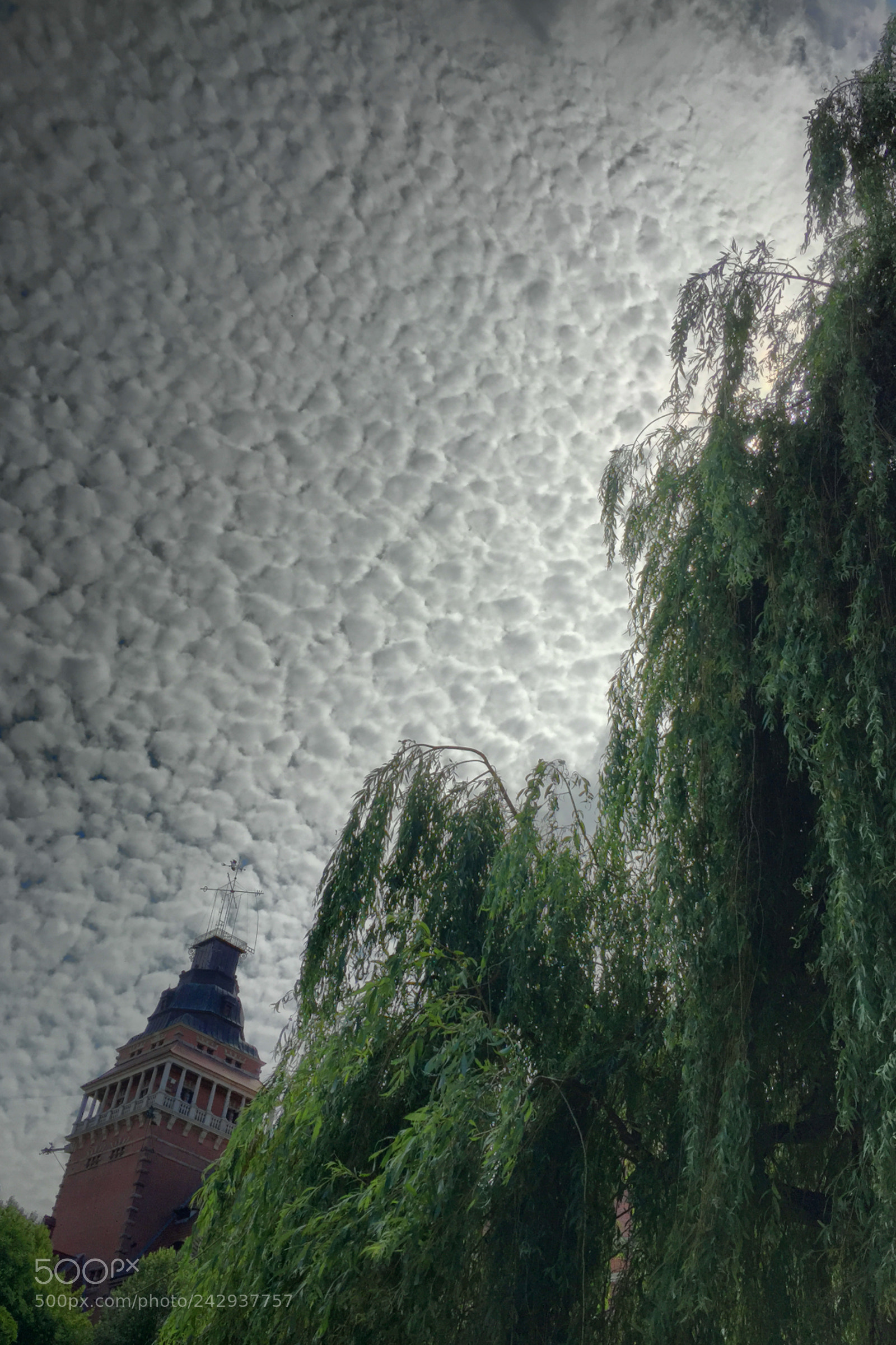 Apple iPhone 6 sample photo. Szczecin, poland photography