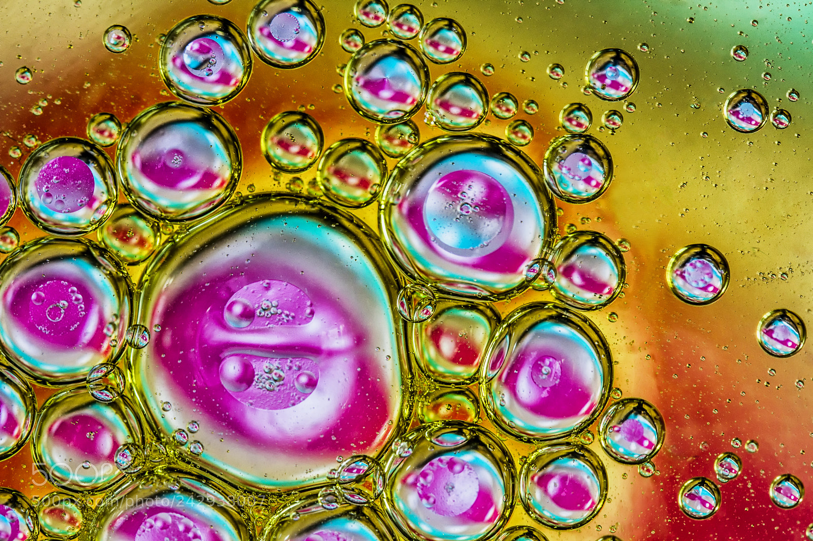 Canon EOS 60D sample photo. Oil and water bubbles photography