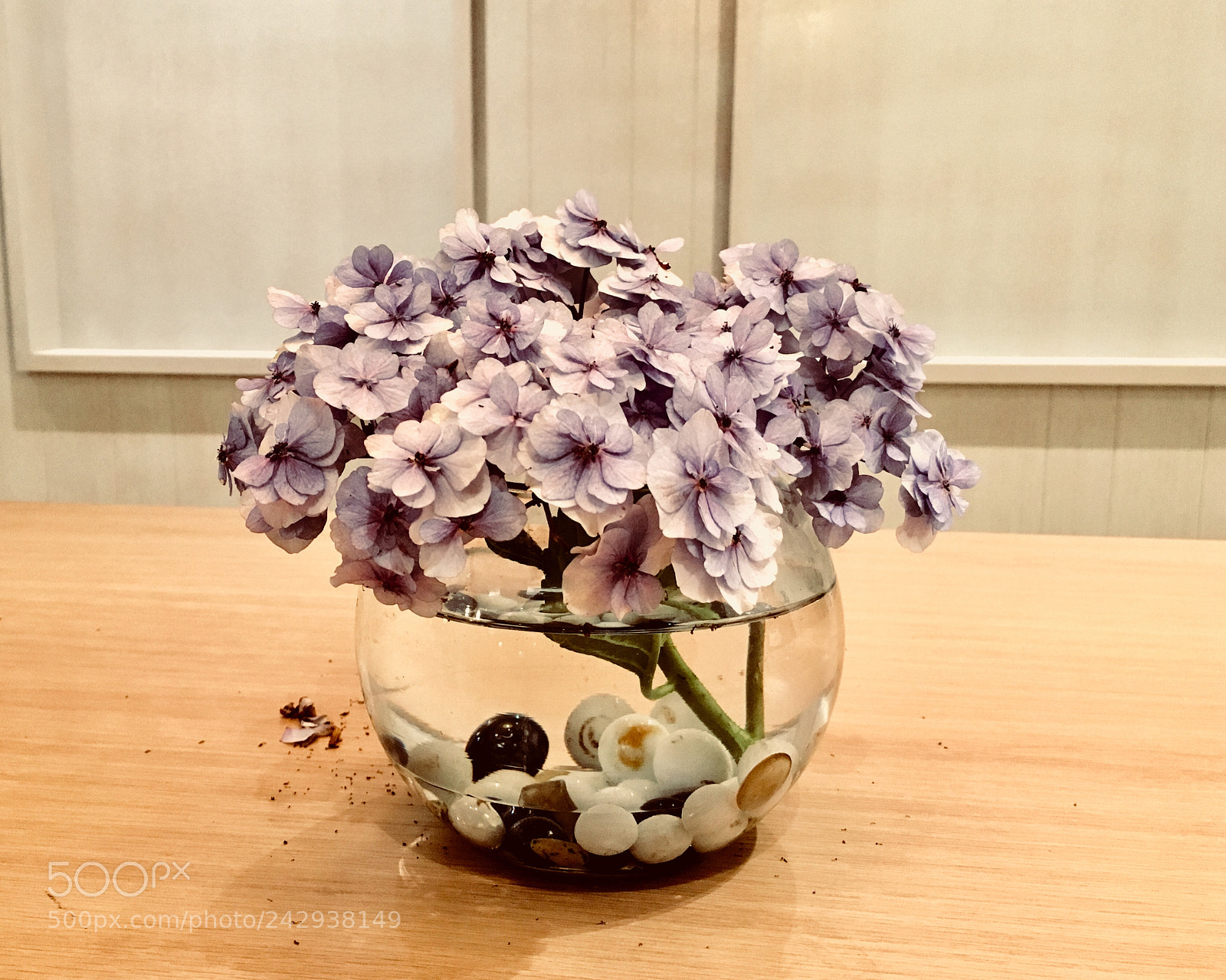 Apple iPhone 6s sample photo. Purple flower. photography