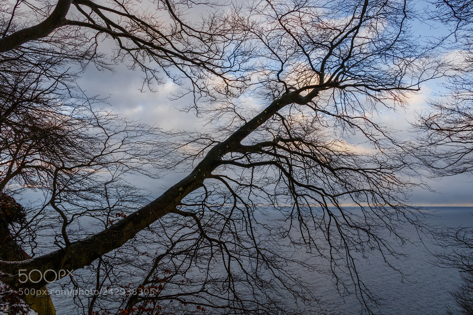 Canon EOS 7D Mark II sample photo. Bei den kreidefelsen photography