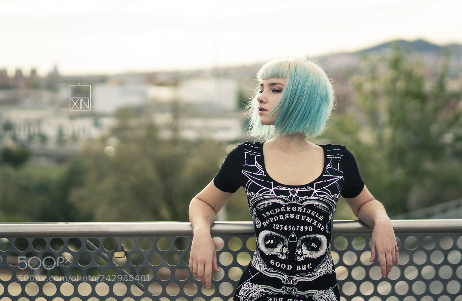 Sony a7 II sample photo. Mimo photography