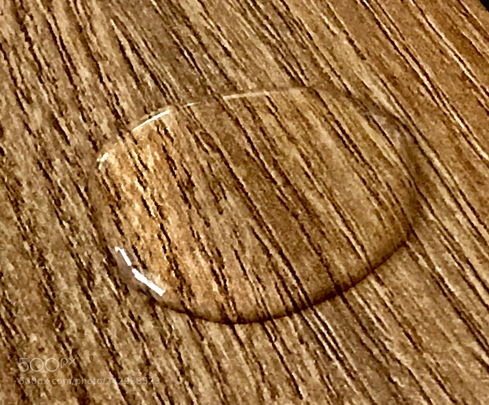 Apple iPhone 7 Plus sample photo. Starting photography