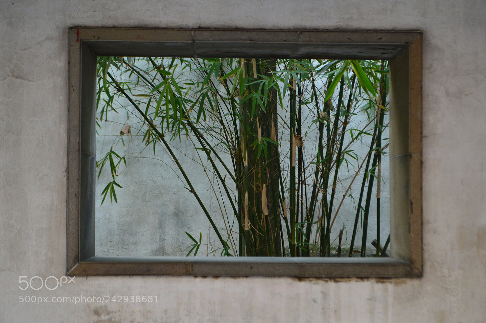 Nikon D3200 sample photo. A window to the photography