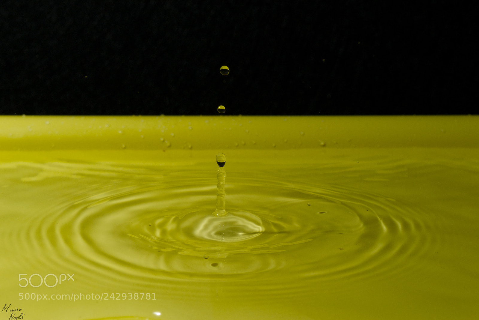 Nikon D3100 sample photo. Drops photography