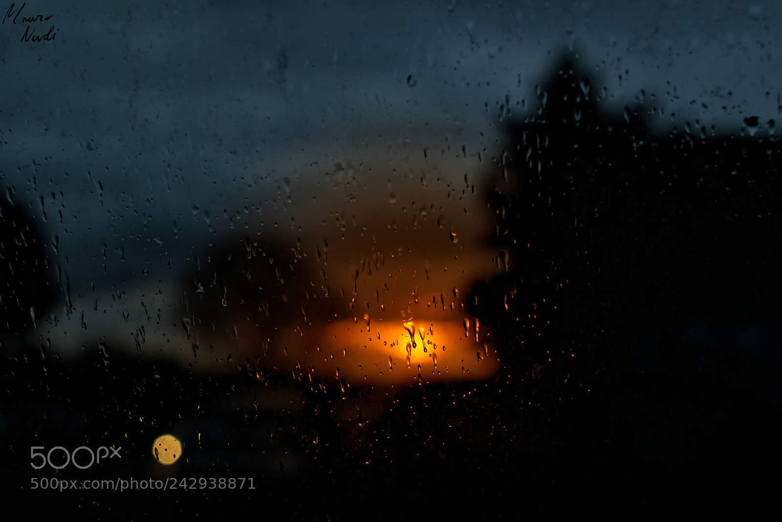 Nikon D3100 sample photo. Drops photography