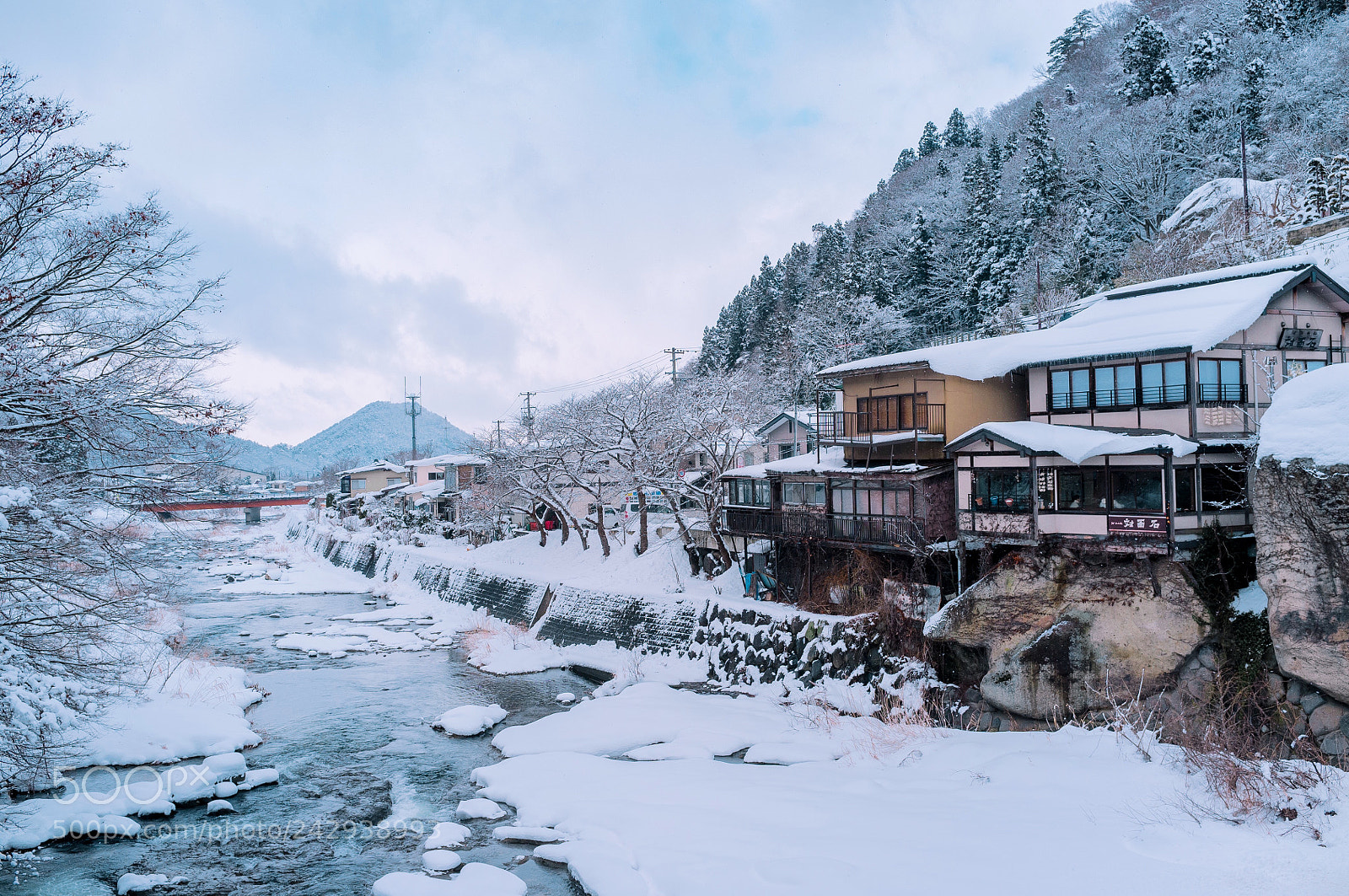 Fujifilm FinePix X100 sample photo. The winter photography