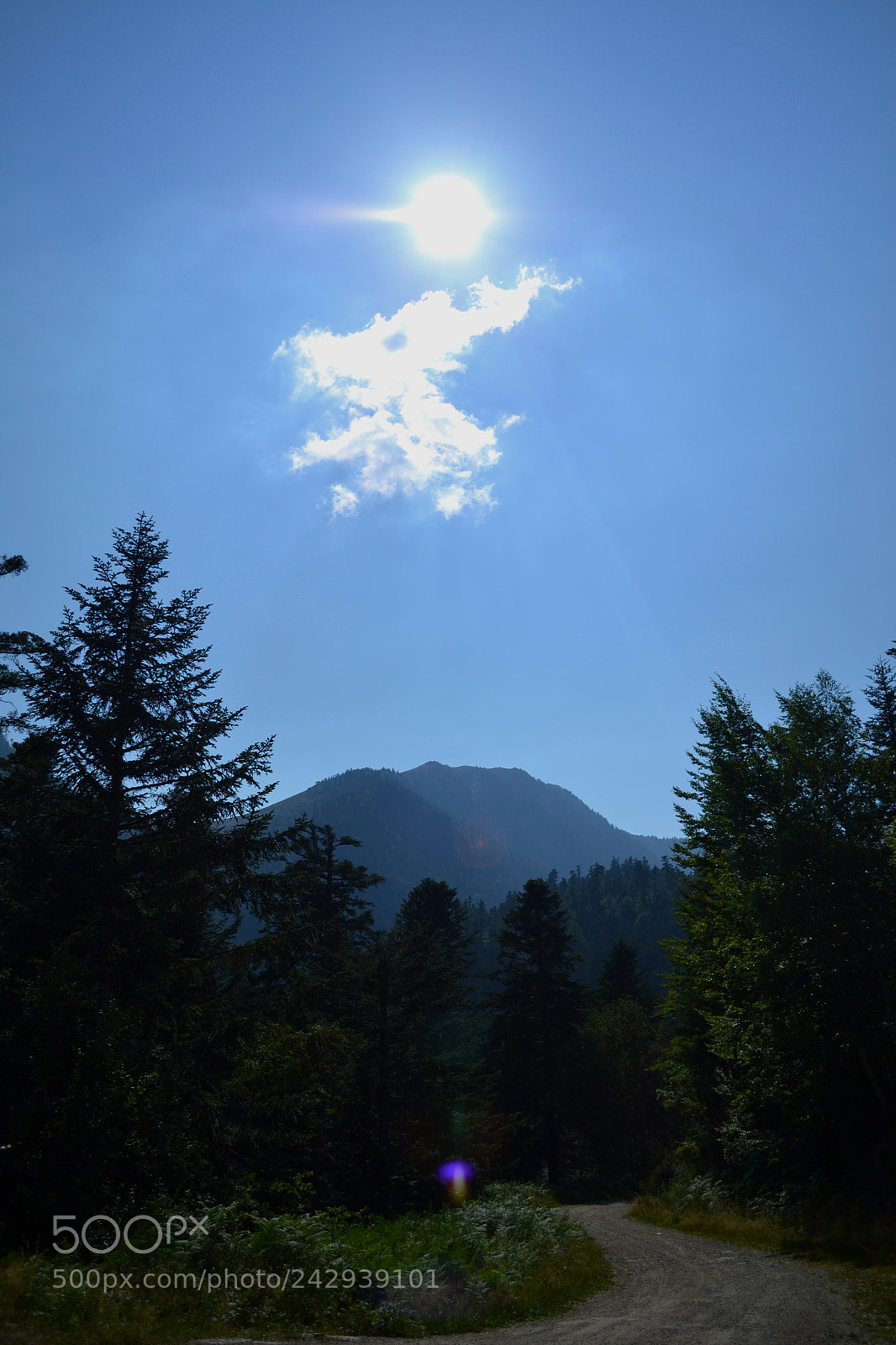 Nikon D3100 sample photo. Up the sky photography