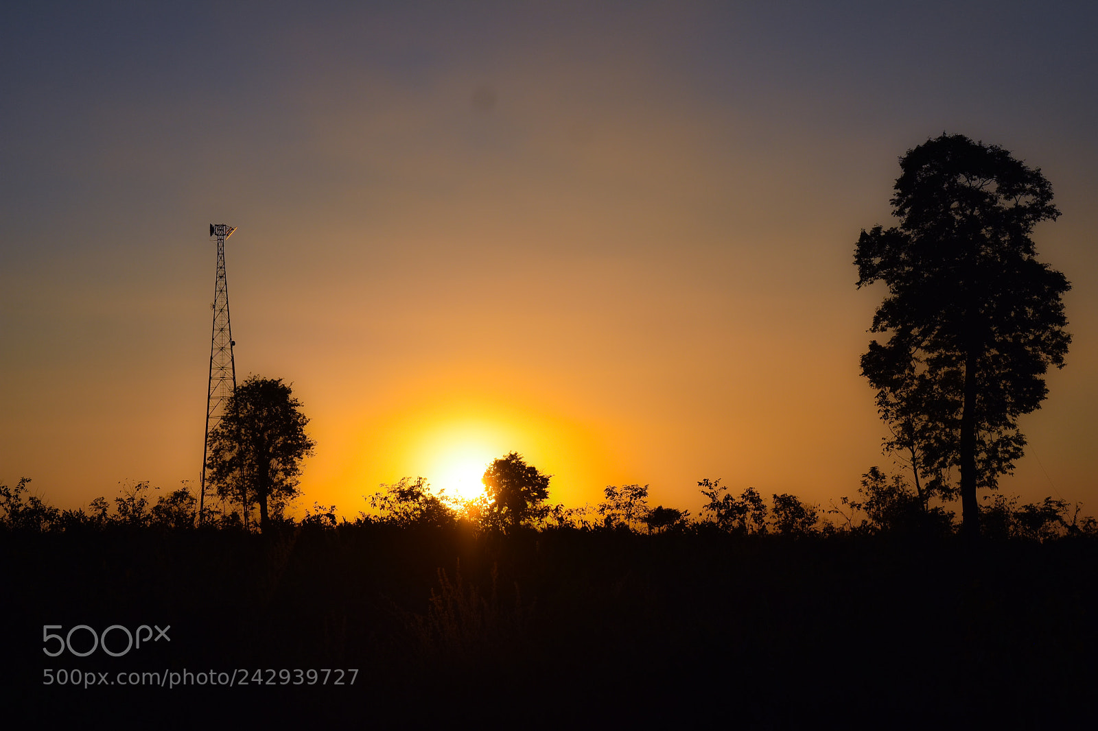 Nikon D3400 sample photo. Sunset time photography