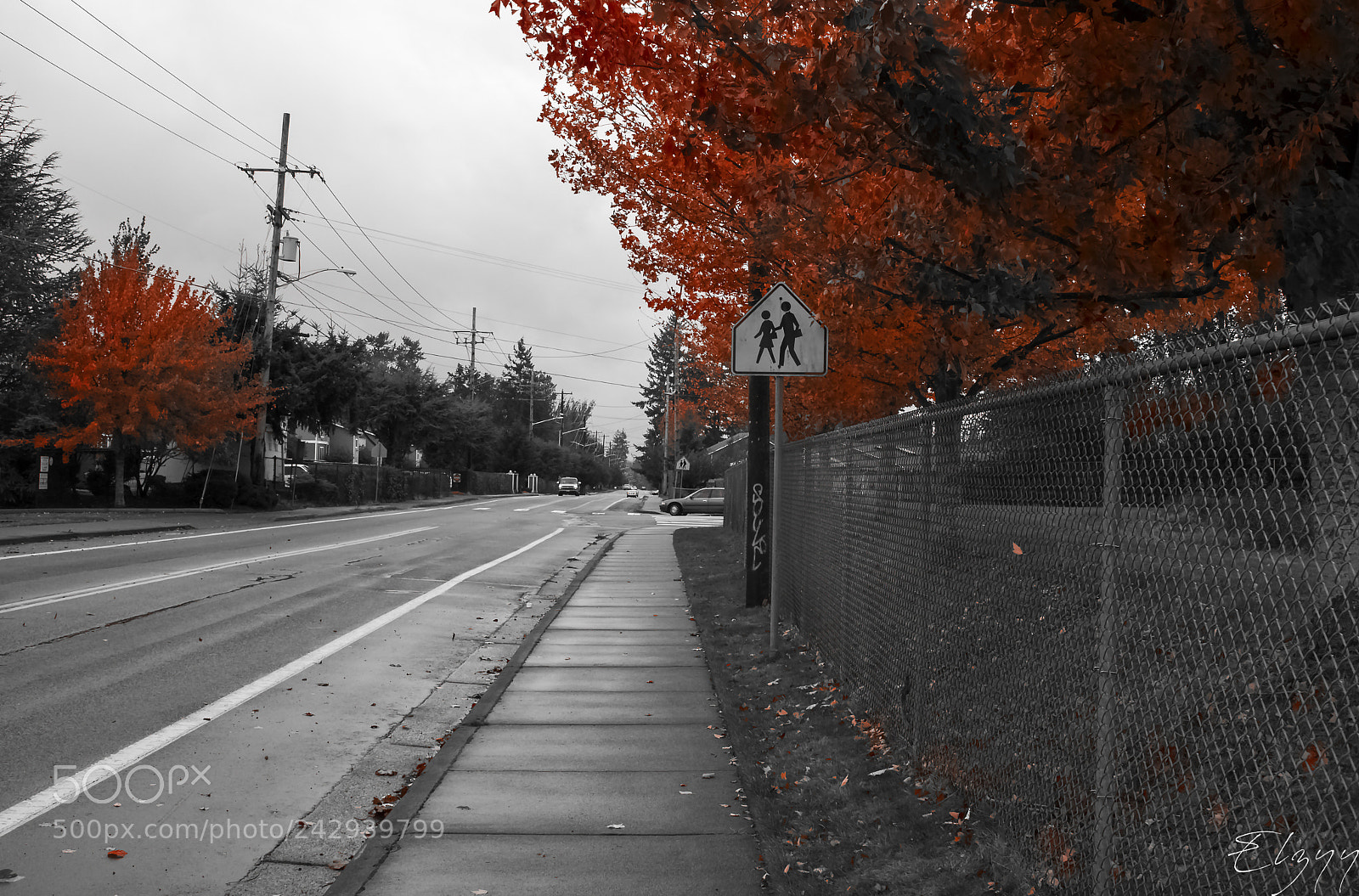 Canon EOS 750D (EOS Rebel T6i / EOS Kiss X8i) sample photo. Red fall photography