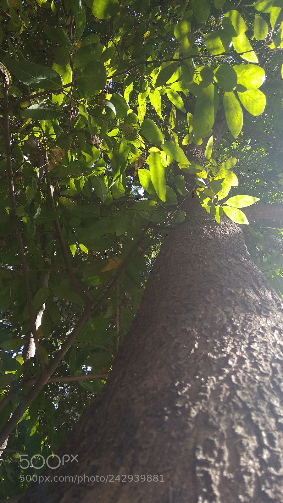 Xiaomi Redmi 5A sample photo. Img_20180118_115915.jpg photography