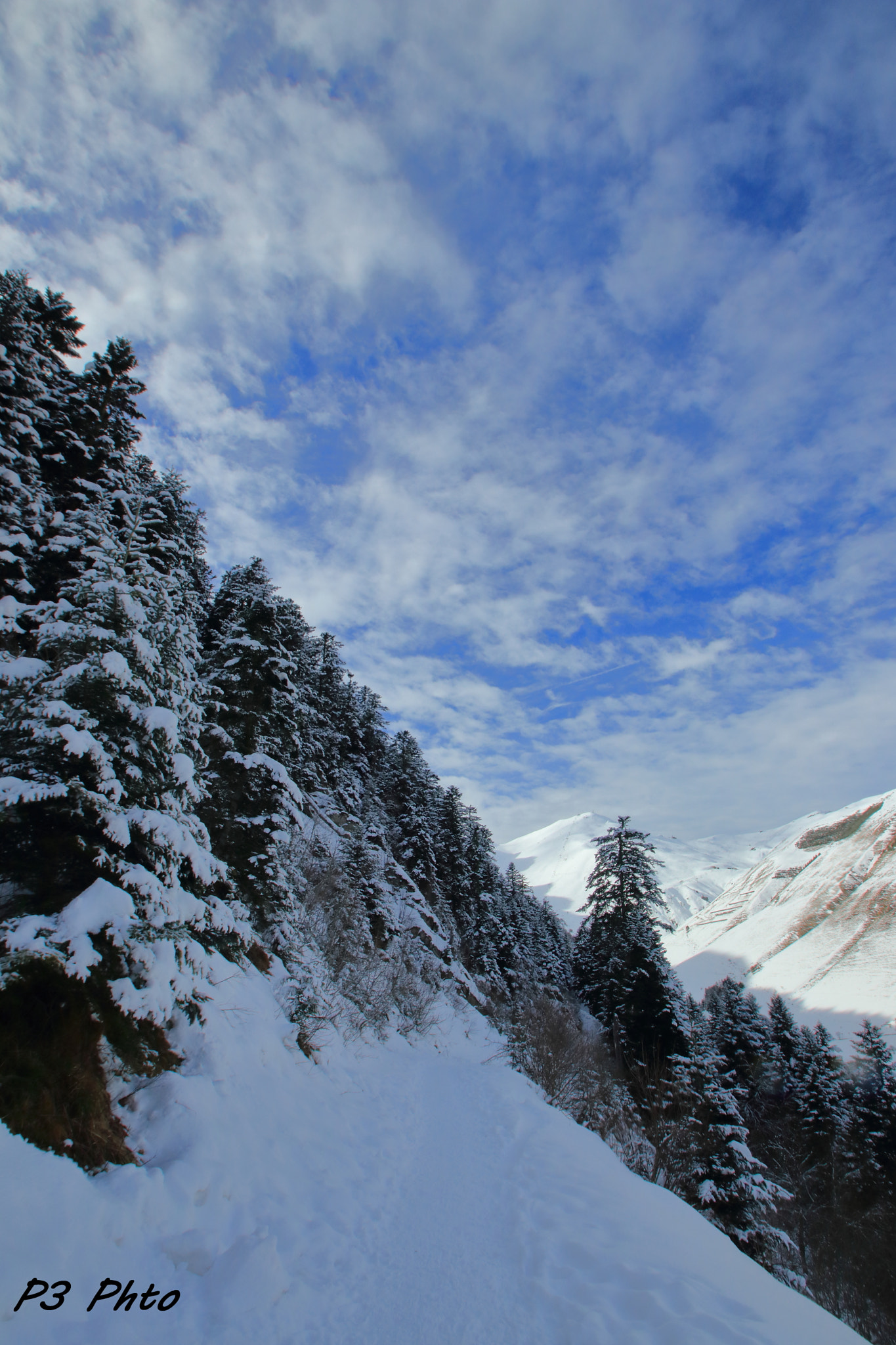 Sigma 10-20mm F3.5 EX DC HSM sample photo. Img photography