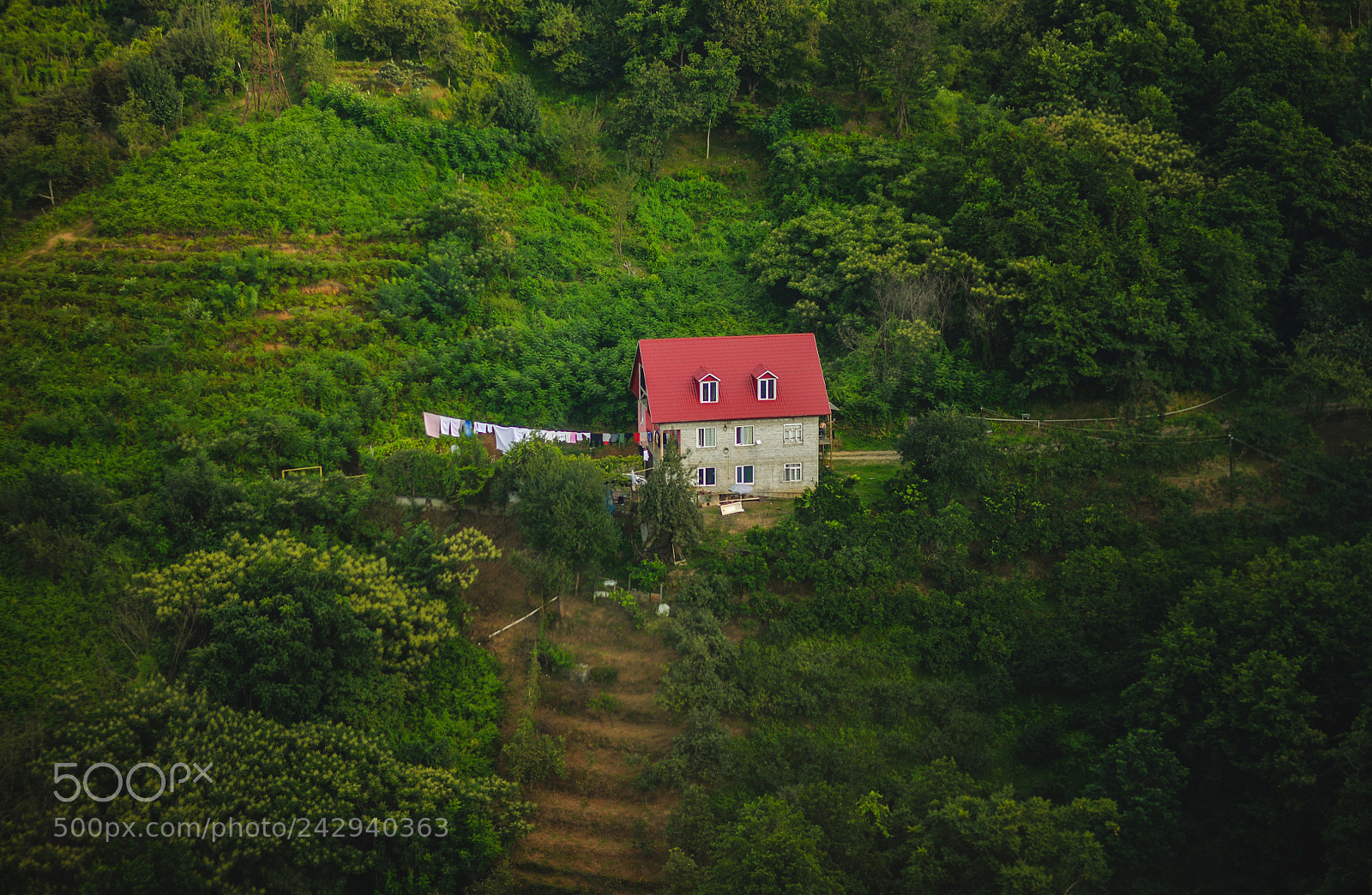 Nikon D610 sample photo. Georgia batumi photography