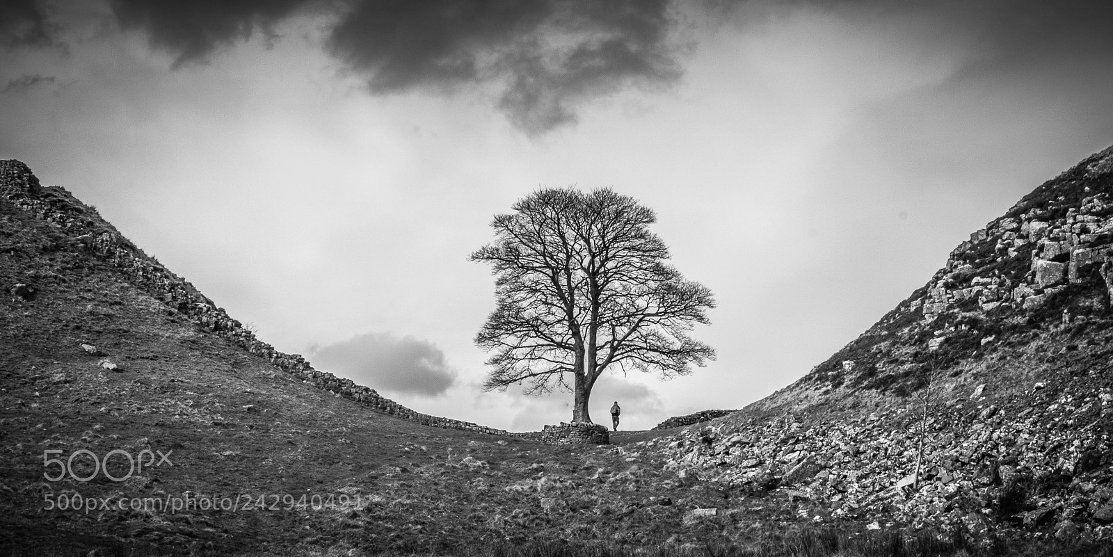 Nikon D3200 sample photo. Sycamore gap  photography