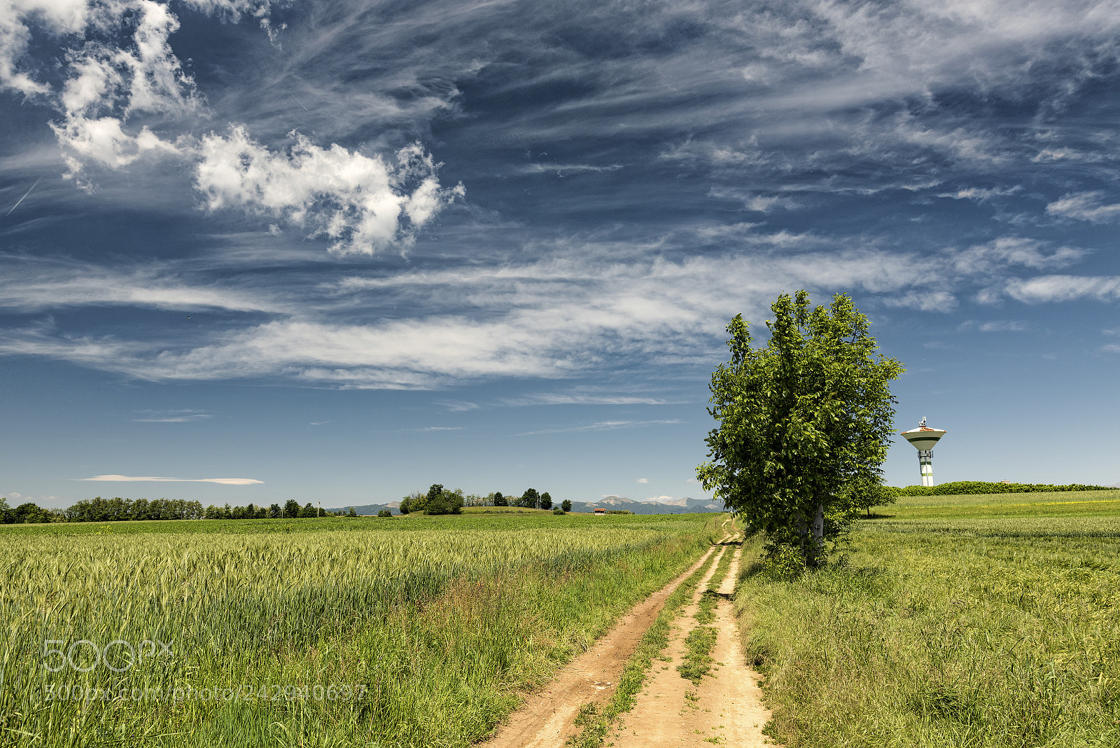 Nikon D810 sample photo. Country landscape in brianza photography