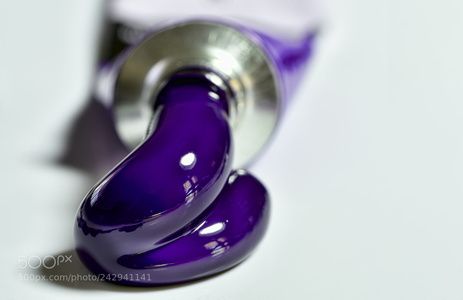 Nikon D810 sample photo. The color purple photography