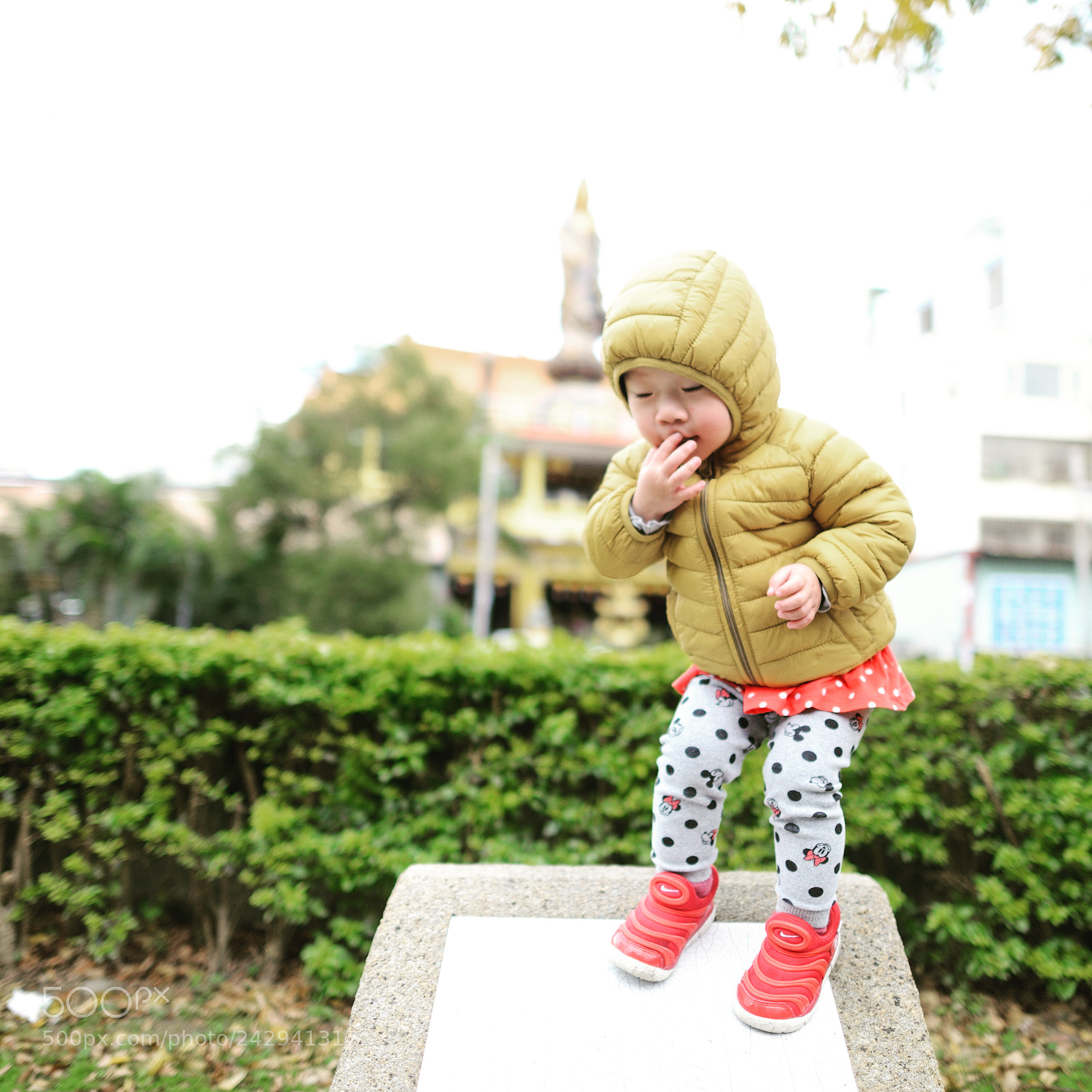 Nikon D800 sample photo. Untitled photography