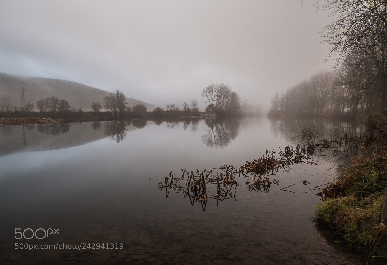 Fujifilm X-T2 sample photo. Niebla en el r photography