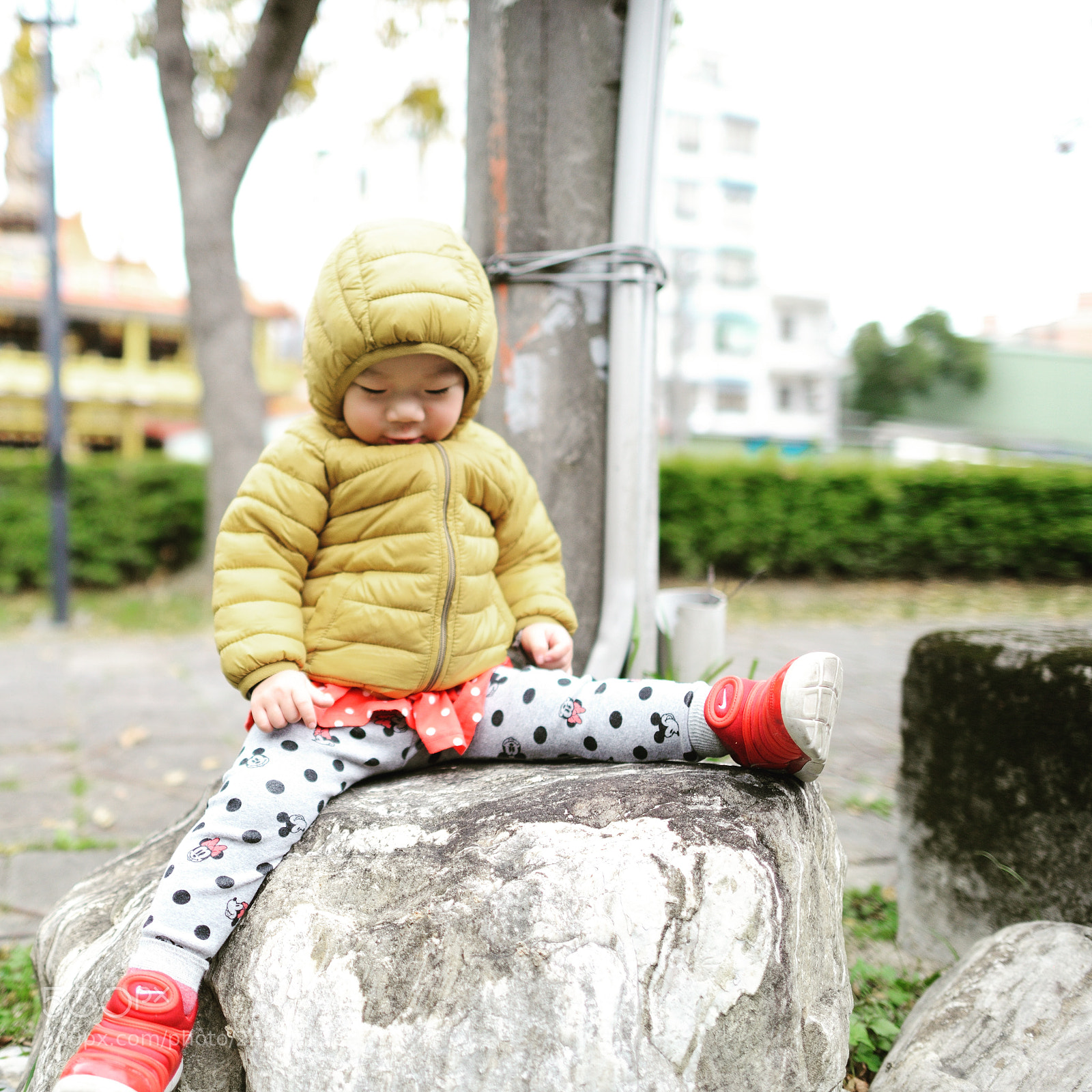 Nikon D800 sample photo. Untitled photography