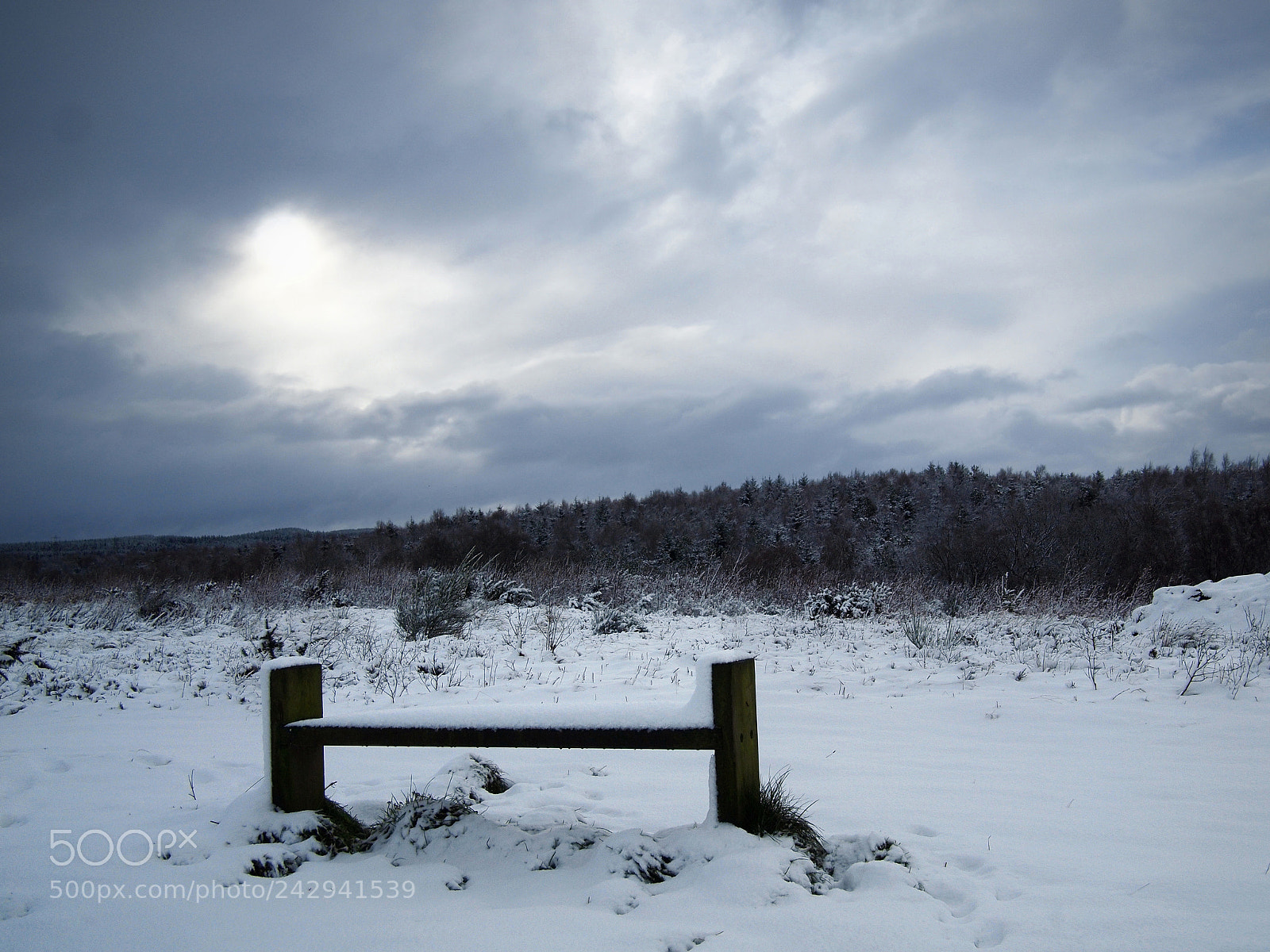 Olympus PEN E-P1 sample photo. I won't sit today photography