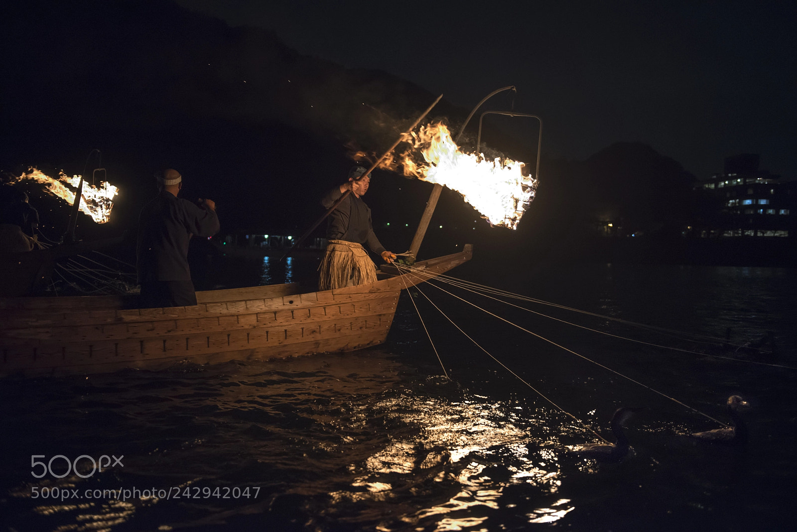 Nikon D800 sample photo. Ukai fishing photography