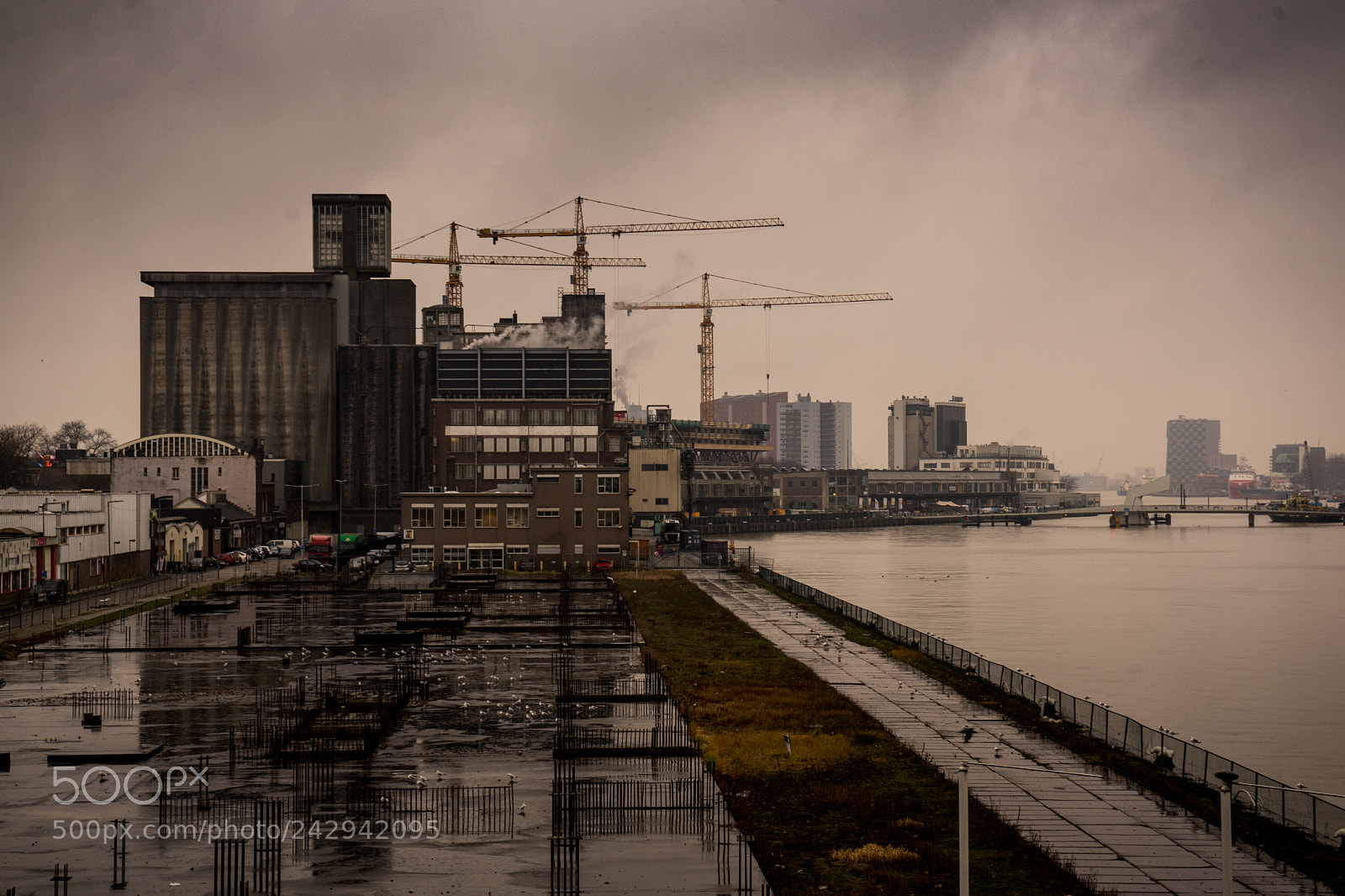 Sony a7 sample photo. View from the maas photography